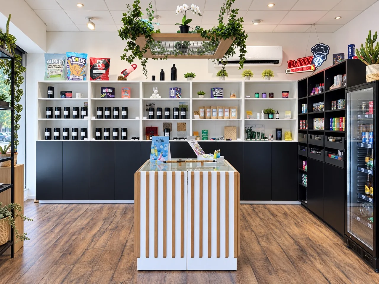 Intérieur de la boutique Luxeverde : comptoir en bois clair, étagères et plantes suspendues.