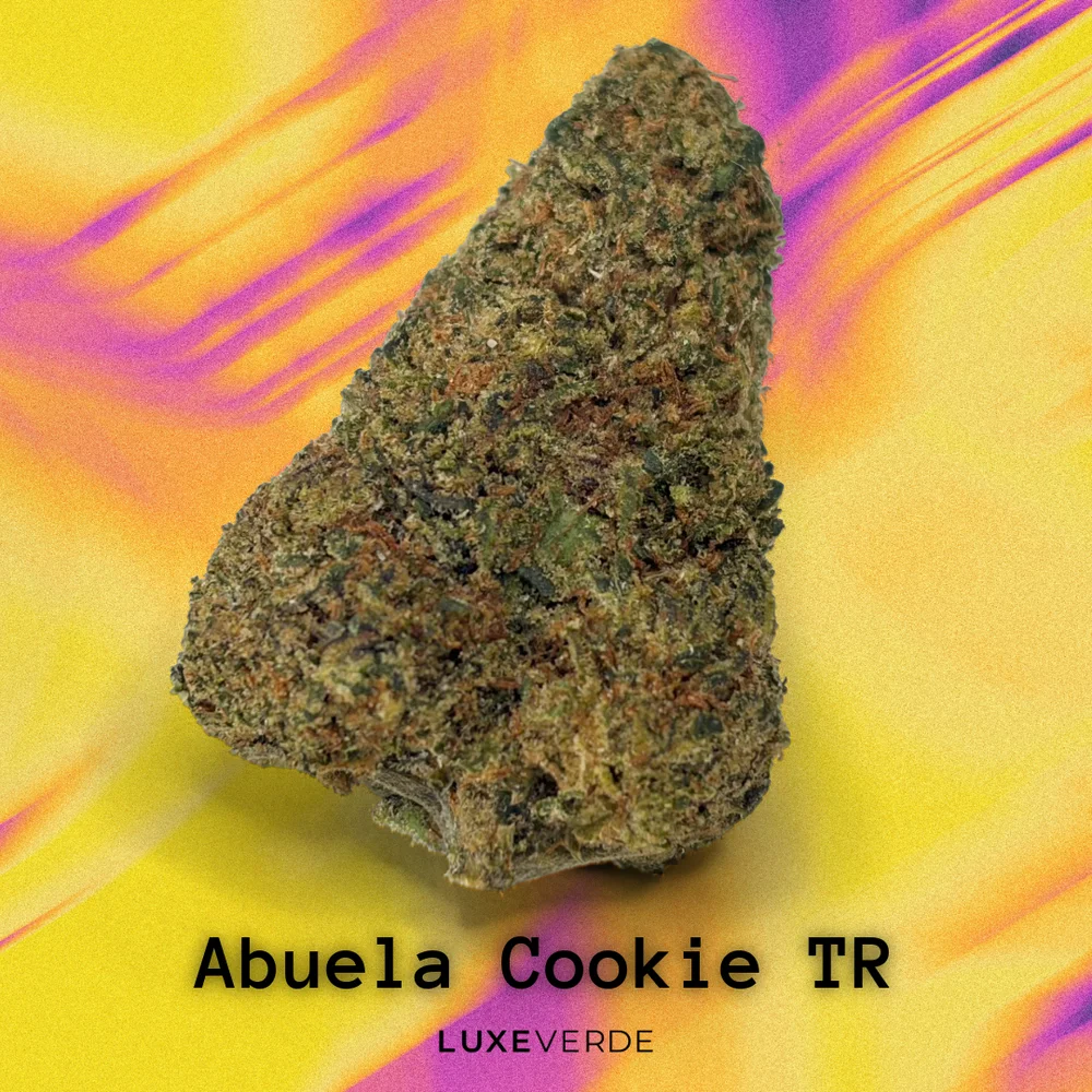 Abuela Cookie TR