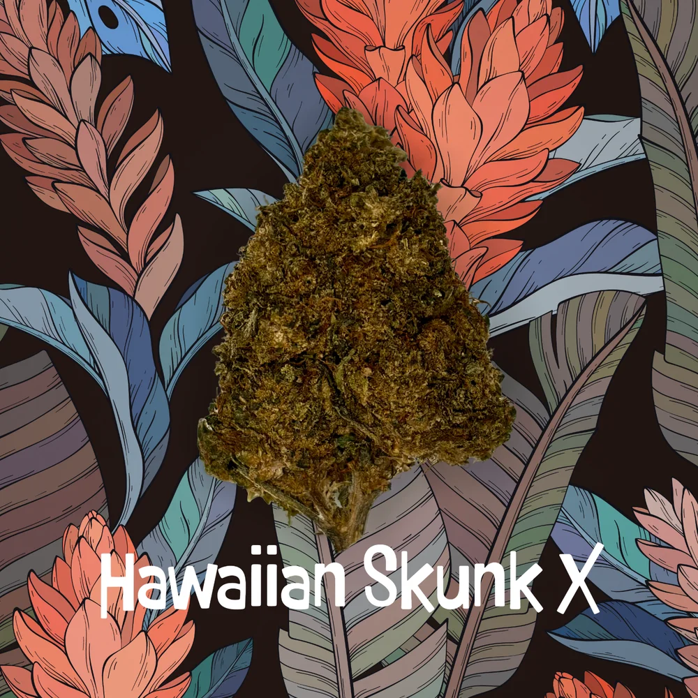 Hawaiian Skunk X