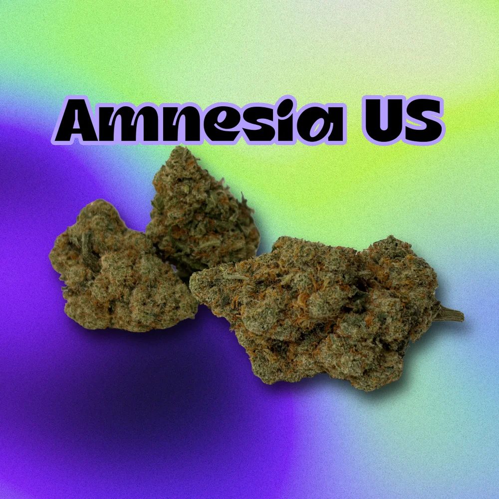 Amnesia US