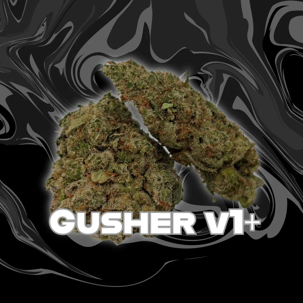 Gusher v1+