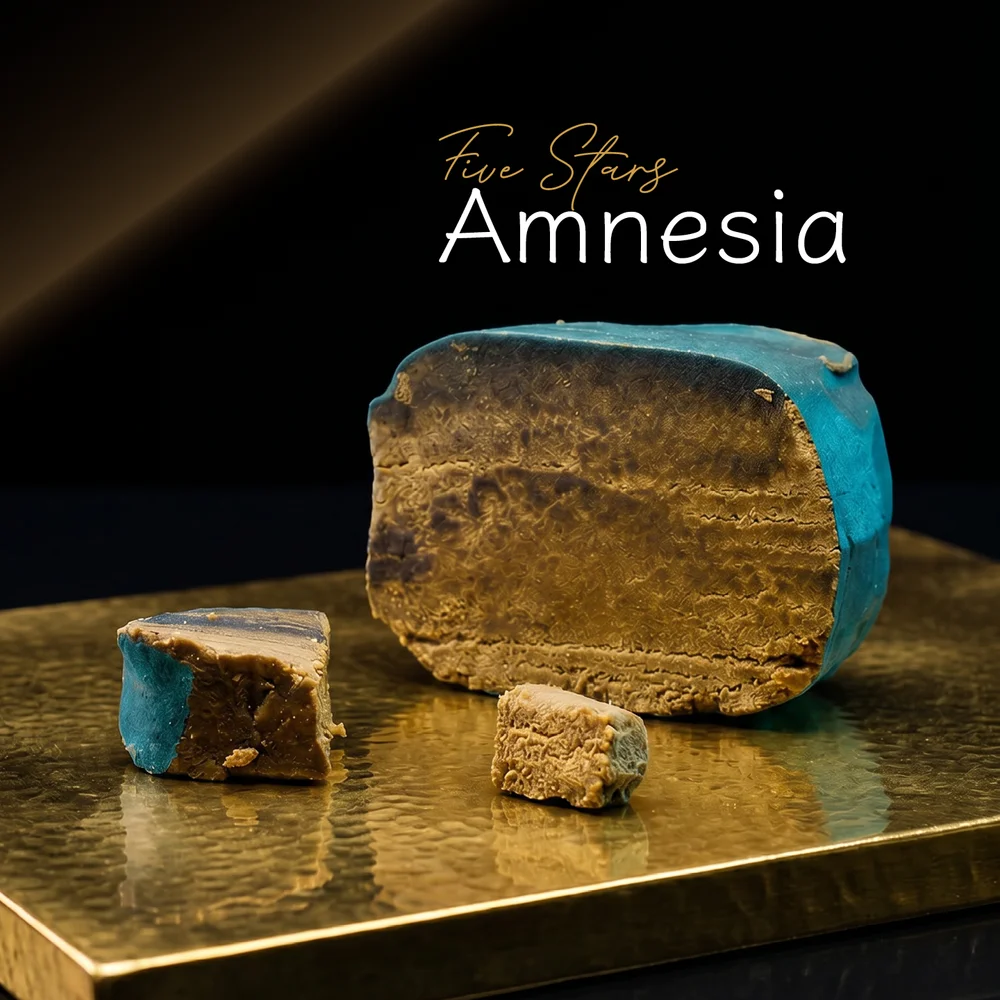 Five Stars Amnesia