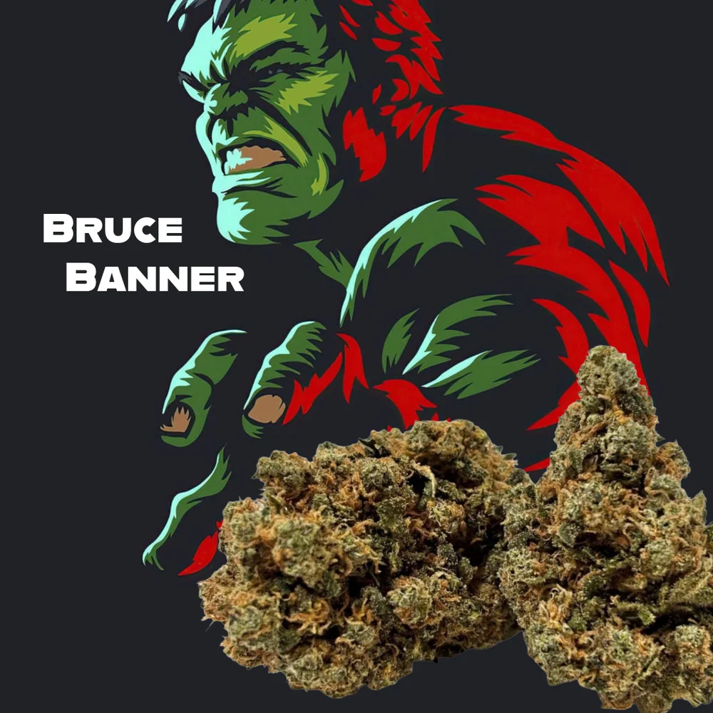Bruce Banner