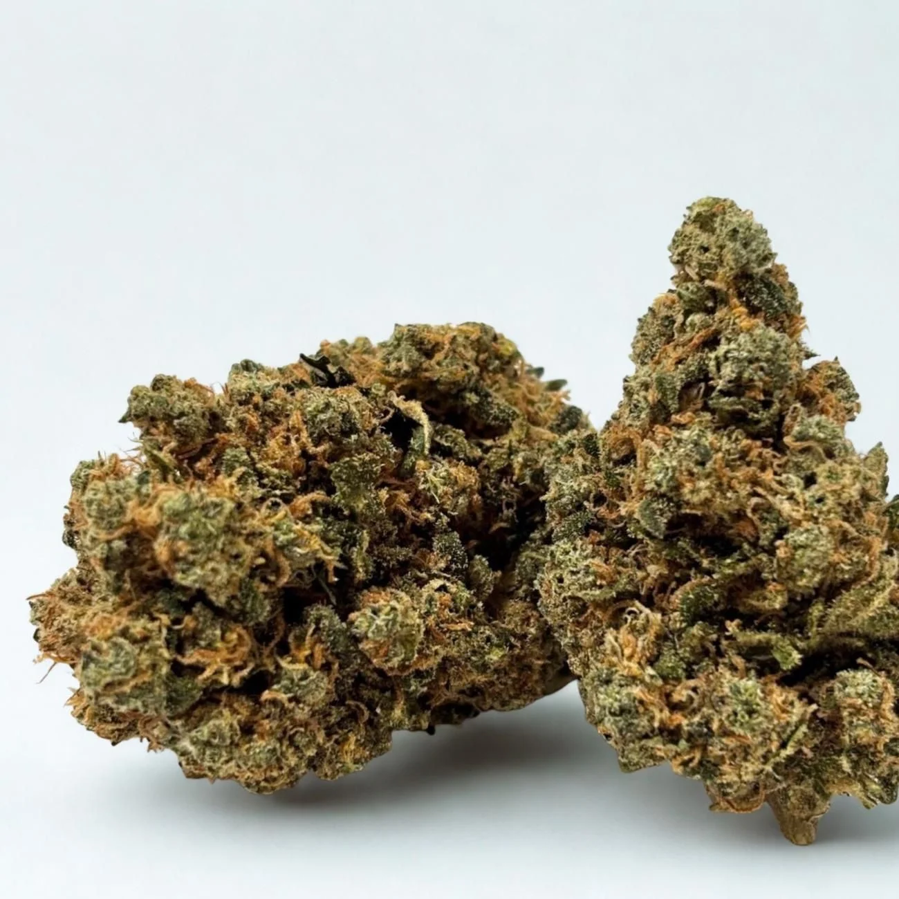Bruce Banner