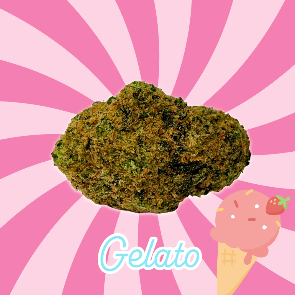 Gelato