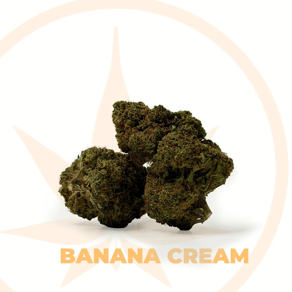 Banana Cream X