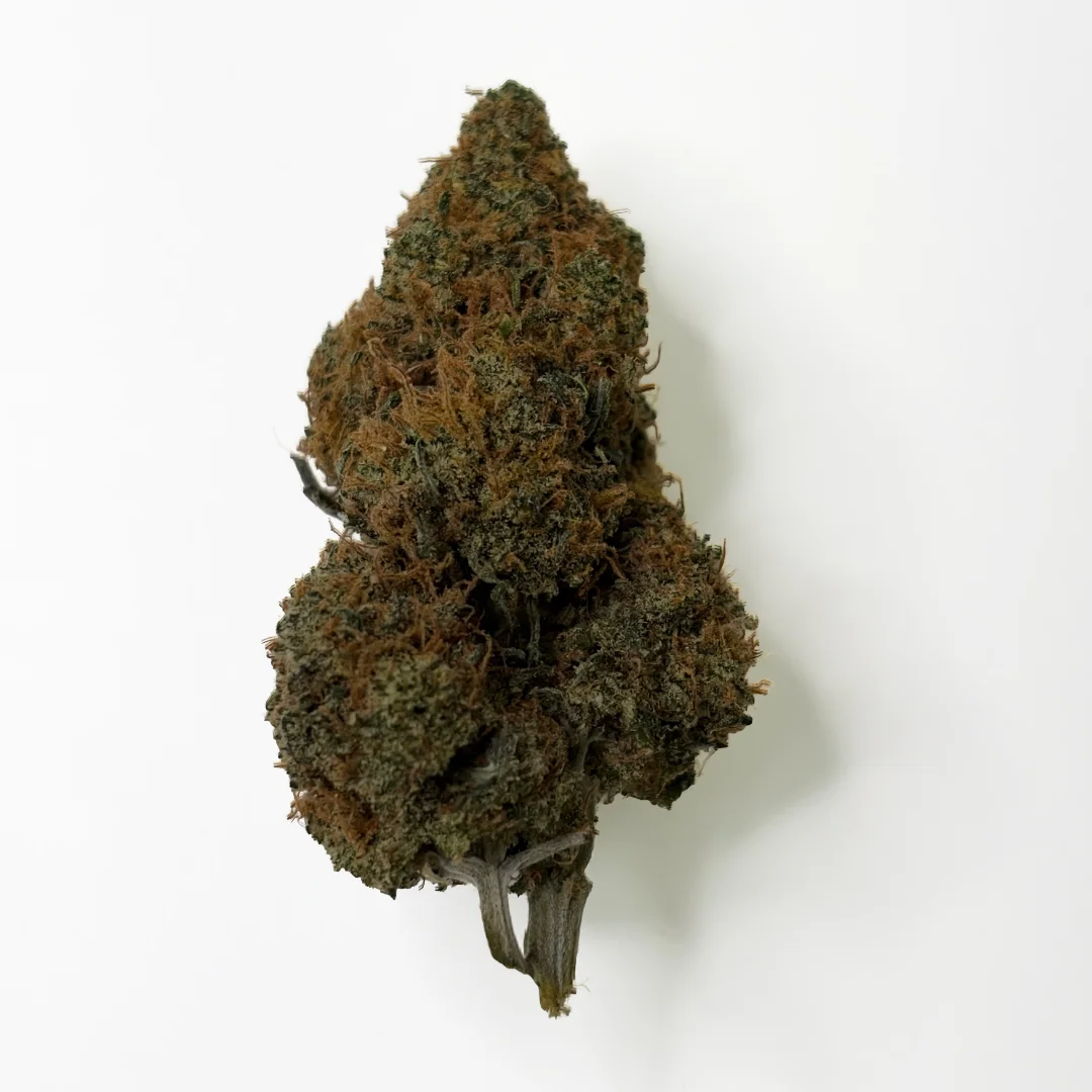 New Amsterdam